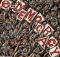 democrazia-e-partecipazione-l-bcoopb