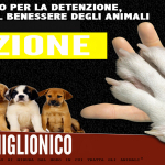 Regolamento per la Tutela ed il Benessere degli Animali.